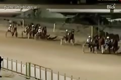 WTF Norweigan Gay Couple Caught Having Sex At A Horse Race !